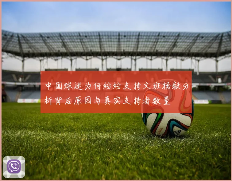 中国球迷为何纷纷支持文班杨毅分析背后原因与真实支持者数量