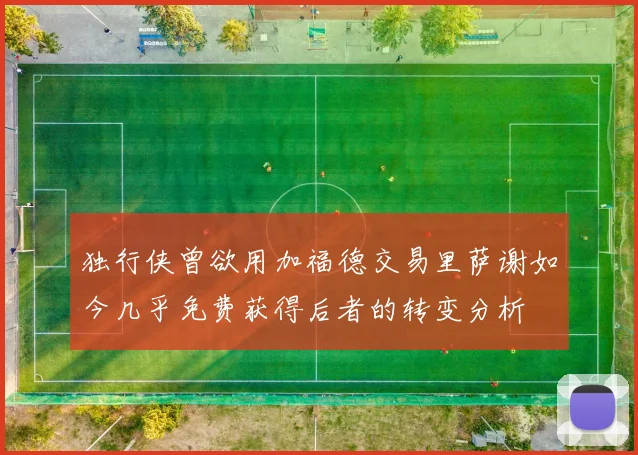 独行侠曾欲用加福德交易里萨谢如今几乎免费获得后者的转变分析