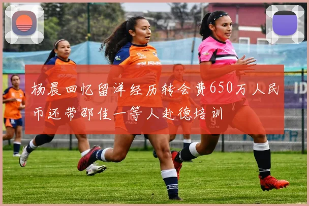杨晨回忆留洋经历转会费650万人民币还带邵佳一等人赴德培训